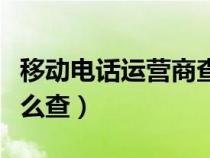 移动电话运营商查询密码（移动运营商密码怎么查）