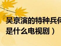 吴京演的特种兵何晨光是什么电视剧（何晨光是什么电视剧）