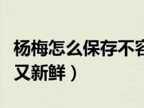 杨梅怎么保存不容易坏（杨梅怎样保存时间长又新鲜）