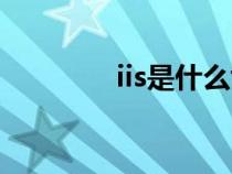 iis是什么协议（iis是什么）