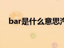 bar是什么意思汽车（车bar是什么意思）