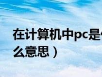 在计算机中pc是什么意思（计算机中PC是什么意思）