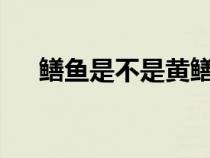 鳝鱼是不是黄鳝?（鳝鱼是否属于鱼类）