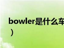 bowler是什么车（borgward是什么车标志）