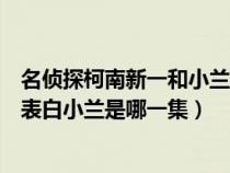 名侦探柯南新一和小兰确认关系是哪一集（名侦探柯南新一表白小兰是哪一集）