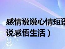 感情说说心情短语人生感悟（感情短语心情说说感悟生活）