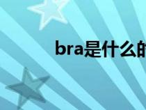 bra是什么的缩写（bra是什么）