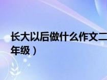 长大以后做什么作文二年级200字（长大以后做什么作文二年级）