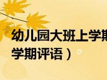 幼儿园大班上学期评语100条（幼儿园大班上学期评语）