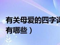 有关母爱的四字词语及解释（母爱的四字词语有哪些）