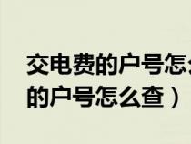 交电费的户号怎么查 不动产单元号（交电费的户号怎么查）