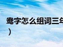 鸯字怎么组词三年级下册语文（鸯字怎么组词）