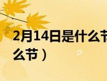 2月14日是什么节除了情人节（2月14日是什么节）