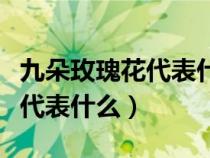 九朵玫瑰花代表什么意义和象征（九朵玫瑰花代表什么）