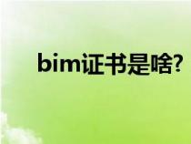 bim证书是啥?（bim证书有什么作用）