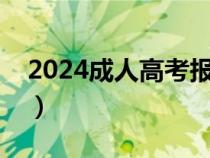 2024成人高考报名条件（成人高考报名条件）