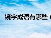 镜字成语有哪些（镜字有关的成语或短语）