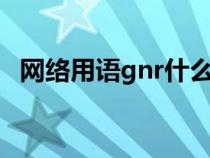 网络用语gnr什么意思（网络语gn指什么）