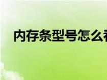 内存条型号怎么看?（内存条型号怎么看）