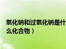 氧化钠和过氧化钠是什么化合物（氧化钠和过氧化钠属于什么化合物）