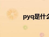 pyq是什么（pyq什么意思）