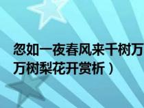 忽如一夜春风来千树万树梨花开妙处（忽如一夜春风来千树万树梨花开赏析）