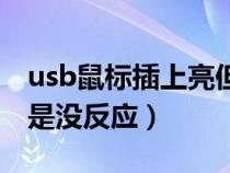 usb鼠标插上亮但是不能动（usb鼠标灯亮但是没反应）