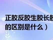 正胶反胶生胶长胶的图片（正胶反胶生胶长胶的区别是什么）