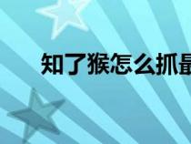 知了猴怎么抓最容易（知了猴怎么抓）