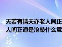 天若有情天亦老人间正道是沧桑是啥意思（天若有情天亦老人间正道是沧桑什么意思）