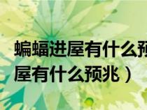 蝙蝠进屋有什么预兆被用扫把打死了（蝙蝠进屋有什么预兆）