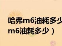 哈弗m6油耗多少1.5t一公里要多少钱（哈弗m6油耗多少）