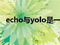 echo与yolo是一对吗（echo的特殊含义）