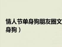 情人节单身狗朋友圈文案配图（发朋友圈的好句子情人节单身狗）