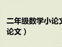 二年级数学小论文300字左右（二年级数学小论文）