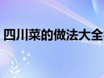 四川菜的做法大全视频（四川菜的做法大全）