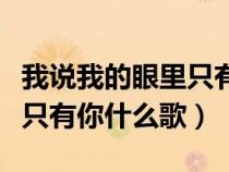 我说我的眼里只有你是什么歌（我说我的眼里只有你什么歌）