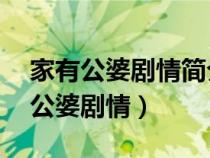 家有公婆剧情简介大结局 app（电视剧家有公婆剧情）