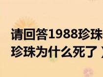 请回答1988珍珠善于真实关系（请回答1988珍珠为什么死了）