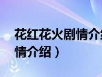 花红花火剧情介绍 田明媚结局（花红花火剧情介绍）