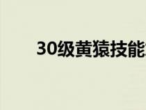 30级黄猿技能加点（黄猿30级加点）