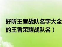 好听王者战队名字大全王者荣耀好听的战队名字（比较好听的王者荣耀战队名）