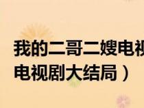 我的二哥二嫂电视剧最后一集（我的二哥二嫂电视剧大结局）