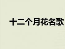 十二个月花名歌（12个月花歌谣是什么）