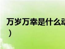 万岁万幸是什么动漫（万岁万幸是什么电视剧）