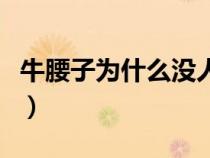 牛腰子为什么没人吃了（牛腰子为什么没人吃）