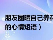 朋友圈晒自己养花的说说心情简短（自己养花的心情短语）