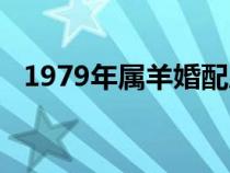 1979年属羊婚配属相（1979年属羊婚配）