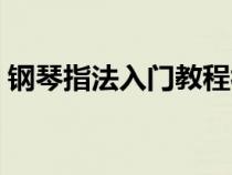 钢琴指法入门教程视频（钢琴指法入门教程）