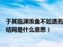 于其临渊羡鱼不如退而结网是什么意思（临渊羡鱼不如退而结网是什么意思）